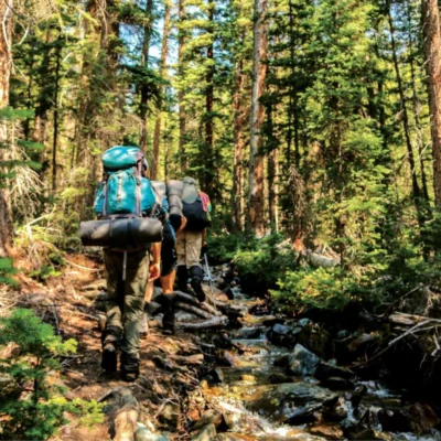 Students hike up stream in the Idaho forest.