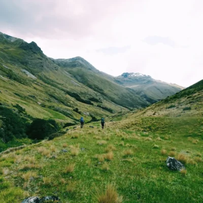 Backpackers walk across the verdant grasslands of New Zealand.