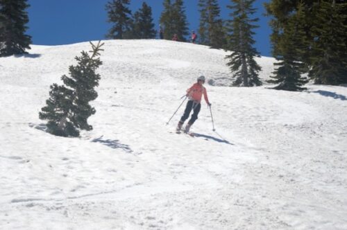 NOLS
