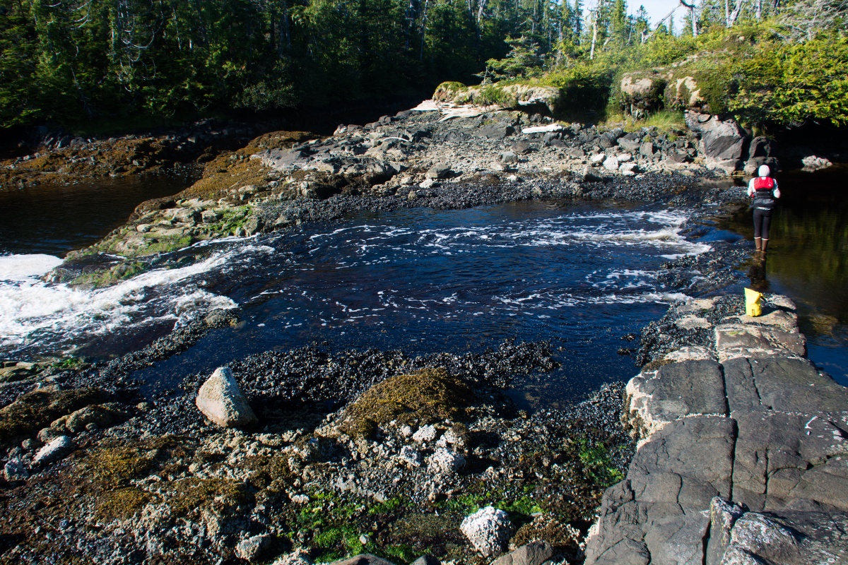 Man walking on a rocky natural bridge near a tidal rapid
