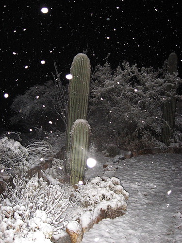 snow at nols southwest
