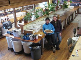 Gulch Bars Gulch Bars