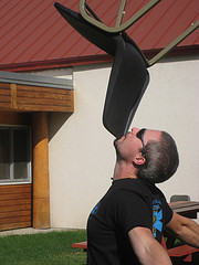 3908171196_ceb9630acc_m