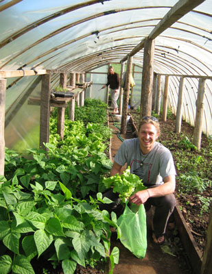 Inside one of several greenhouses on the NOLS Patagonia campo. Photo: Bruce Smithhammer 