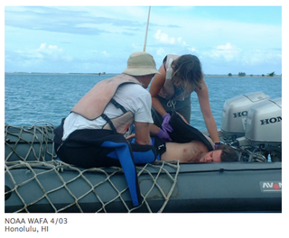 Screen shot 2010-10-21 at 1.37.12 PM Screen shot 2010-10-21 at 1.37.12 PM