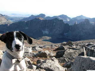 Screen shot 2011-09-20 at 12.53.42 PM Screen shot 2011-09-20 at 12.53.42 PM