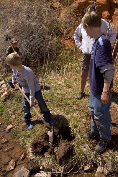 Willow_Planting18_small