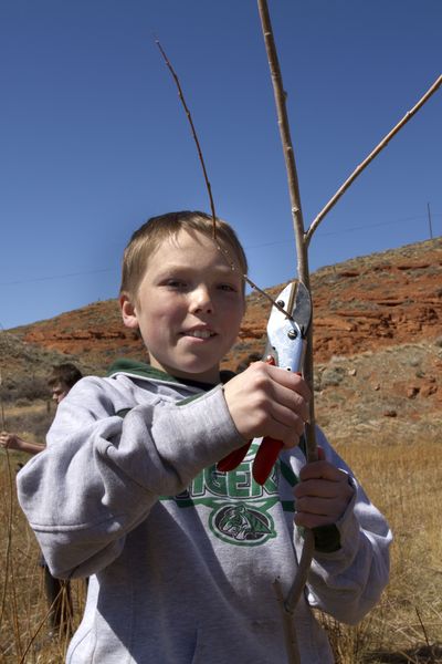 6a00d83451b4f069e20168e9a6d76e970c-pi 6a00d83451b4f069e20168e9a6d76e970c-pi