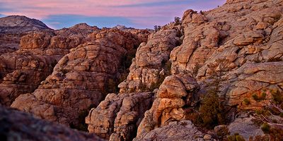 442893756_810df2b8dd