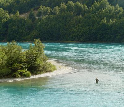 422036125_03dc86dea3_b