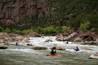 2011_ashley_wise_4_md