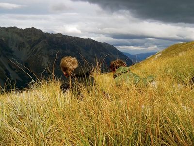 427435_10150643715792833_506087832_9523166_1437987112_n