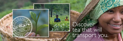 Screen shot 2012-11-05 at 9.35.30 AM