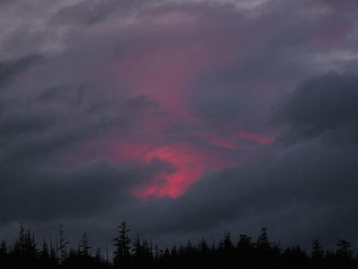 KIC 2010 336 KIC 2010 336