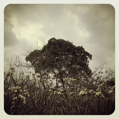 Brooke Retherford -0117