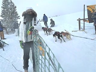 1912266_254348801408759_1283327583_n