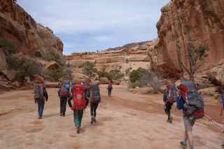 Canyon Exit Canyon Exit