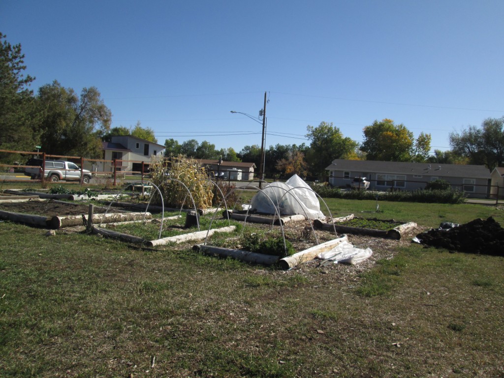 6a00d83451b4f069e201bb0793b8ac970d