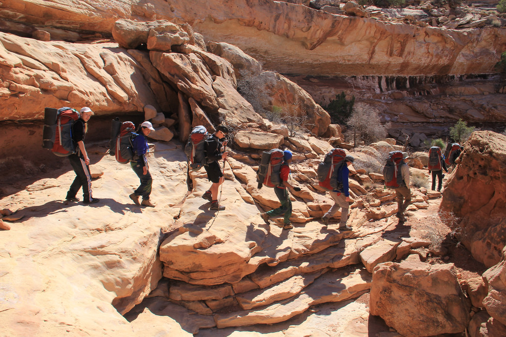 6a01a73ddeaa20970d01a511e31967970c