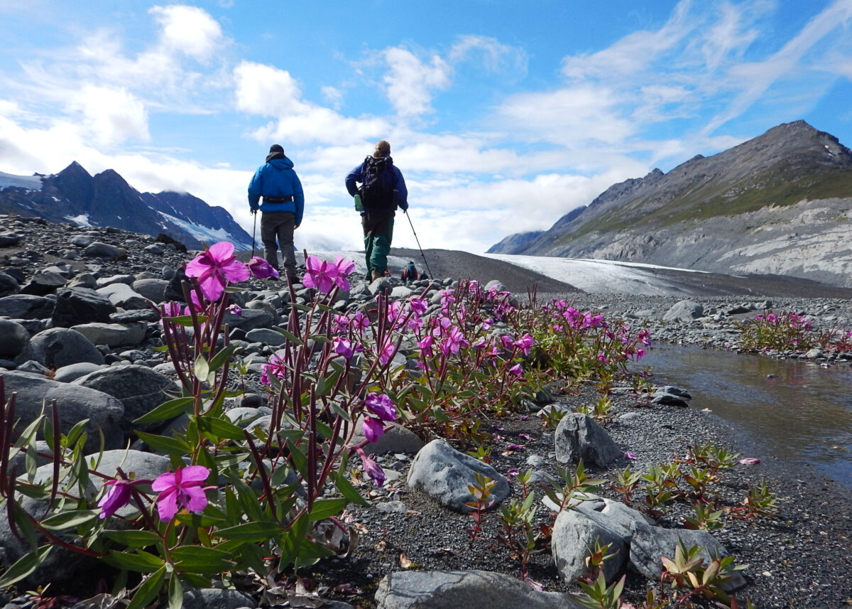 two adults walking away with beautiful flowers and water in the foreground