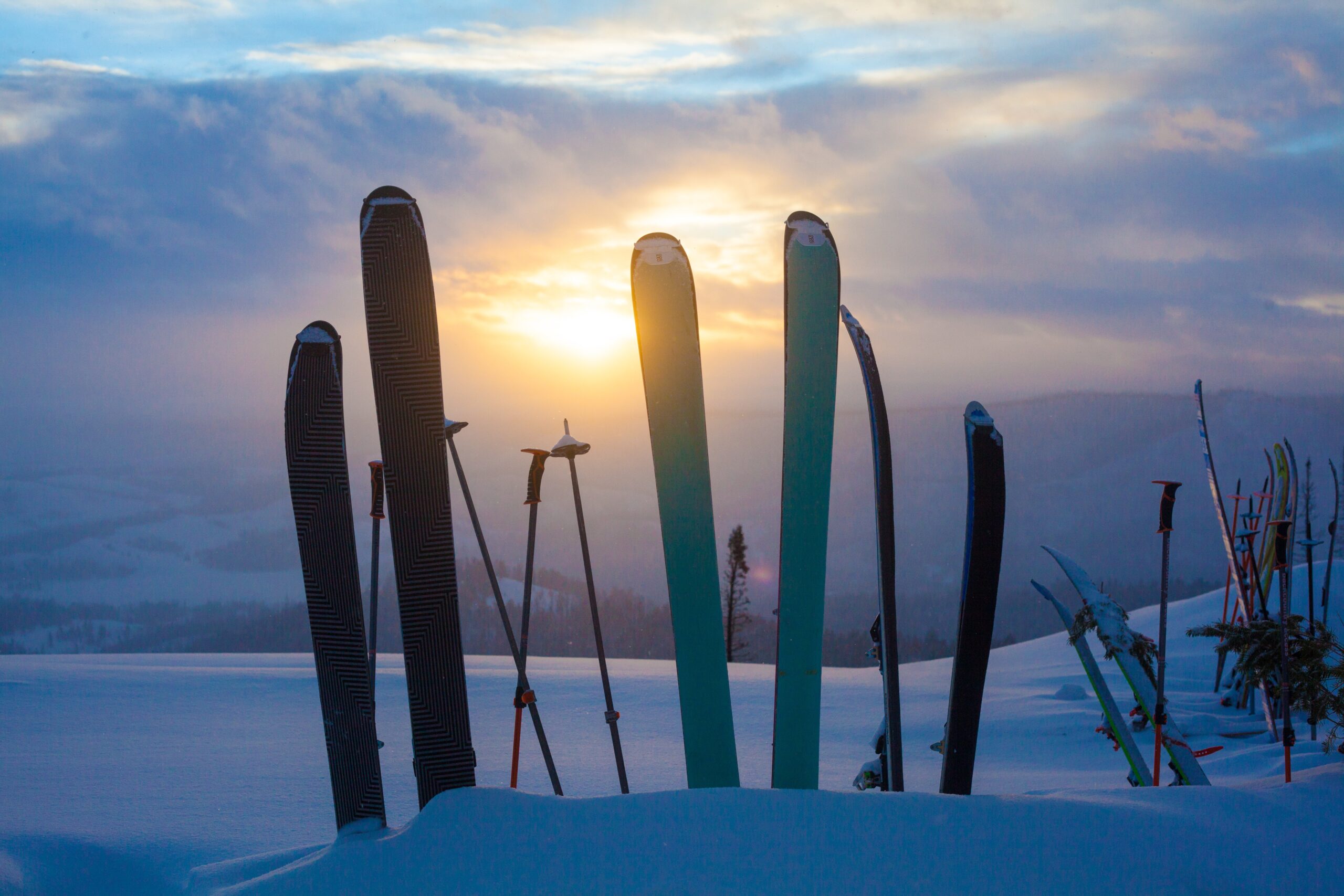 Molly_Hagbrand_TVB-32