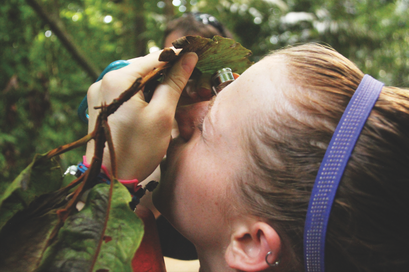 Wildlands Studies & WRMC