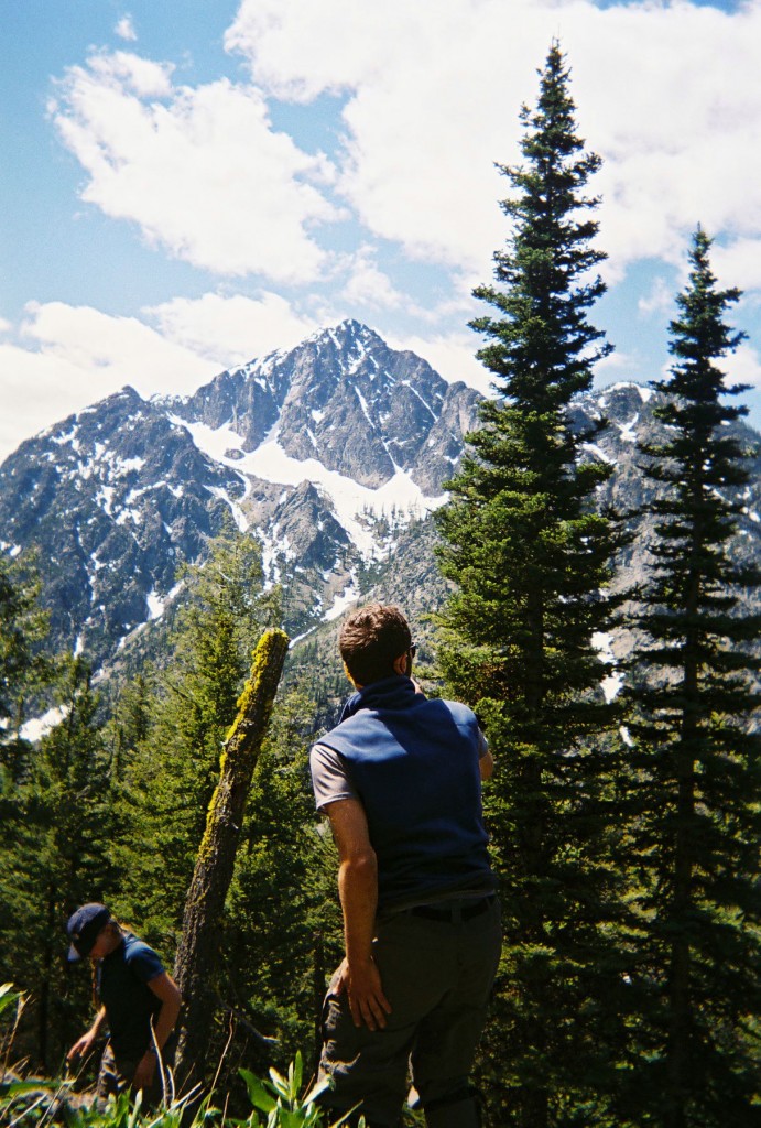aidan-kelly-trees-pnw