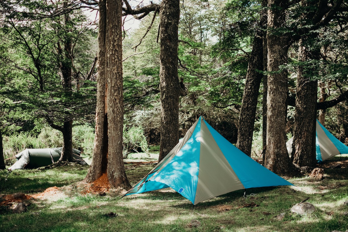 Our camp in the lenga and pine forest near the campo where we spent several peaceful days.