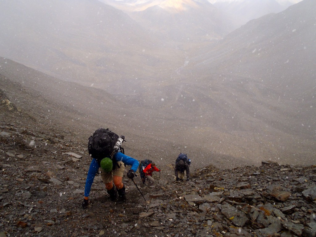 Building Camaraderie through Challenges