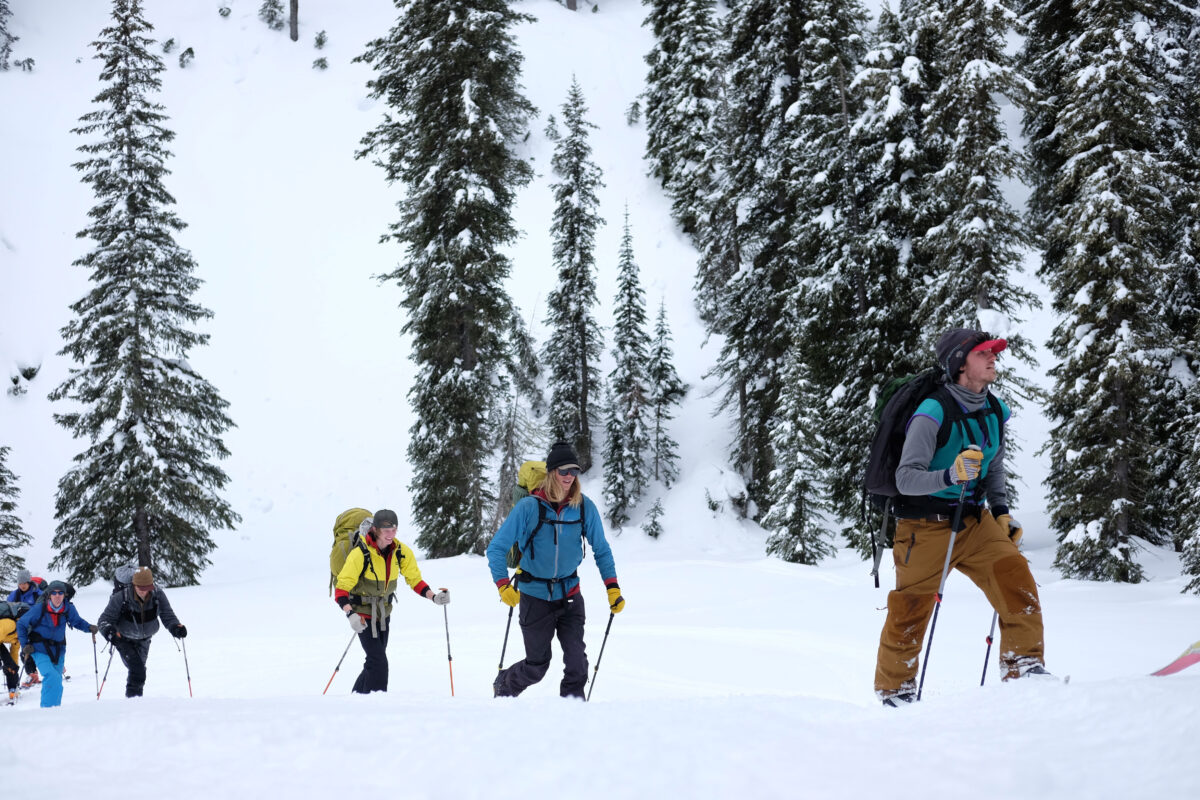 A group of backcountry skiers move across a snowy field with lodgepole pines in the background. Photo by Will Stubblefield
