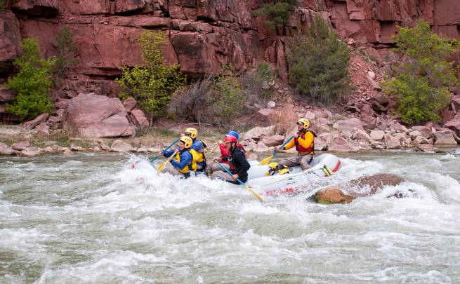 Course participants white water rafting at the Gates of Lodore in Colorado.