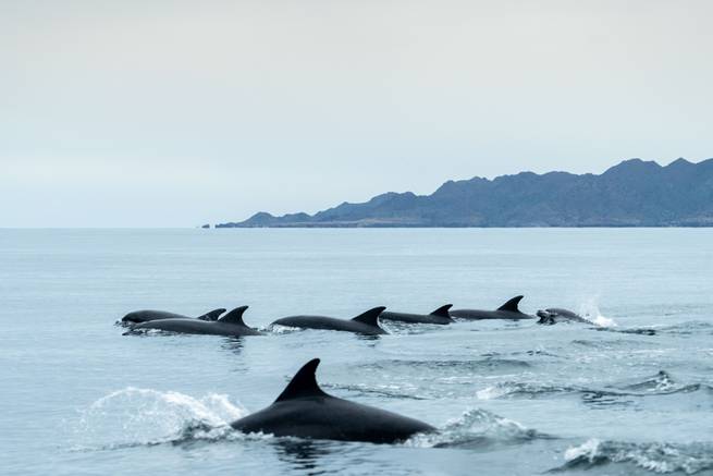 kirk_rasmussen_mx-7.jpg__655x5000_q70_subsampling-2 kirk_rasmussen_mx