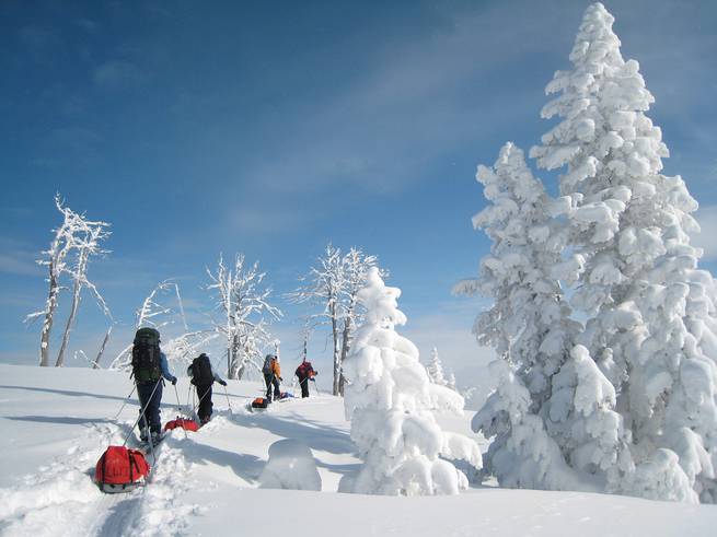 matt_burke_tv_023.jpg__655x5000_q70_subject_location-887,1034_subsampling-2 Four winter participants pull gear sleds uphill past snow-laden trees on a sunny day in Teton Valley.