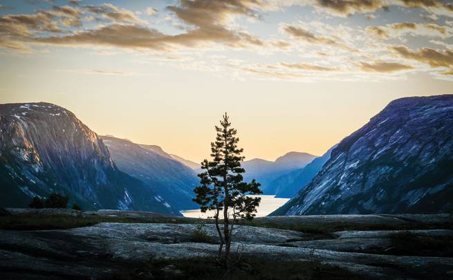 A lone pine tree sits perfectly before a mountain lake during a sunset.