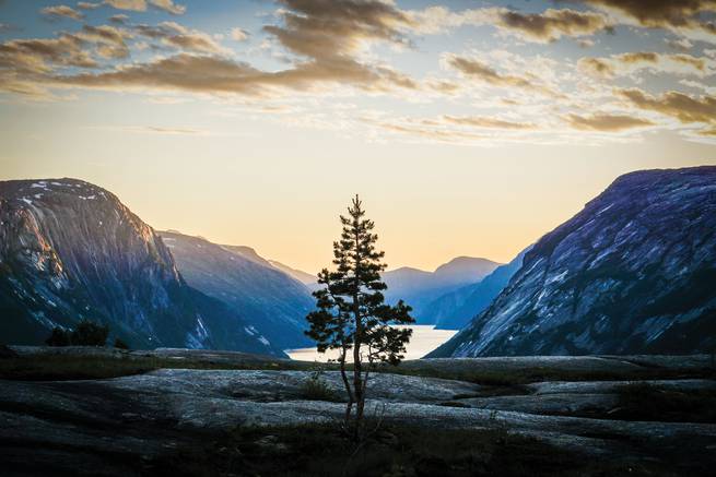 A lone pine tree sits perfectly before a mountain lake during a sunset.