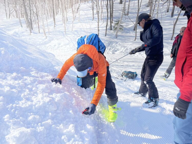 Photo Credit: Sophie Hartshorn