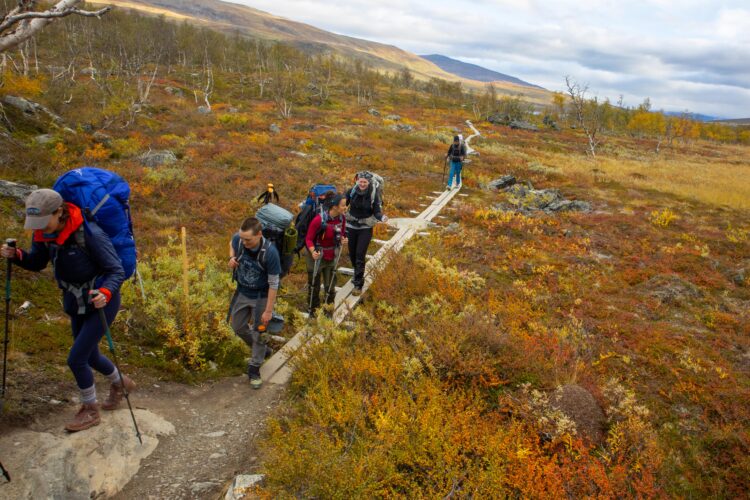 Photo Credit: Molly Hagbrand