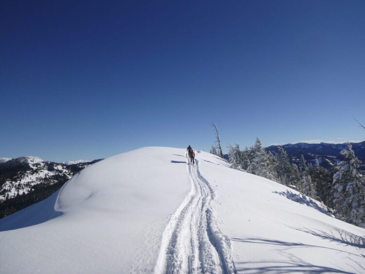 Photo by Anne Johnston