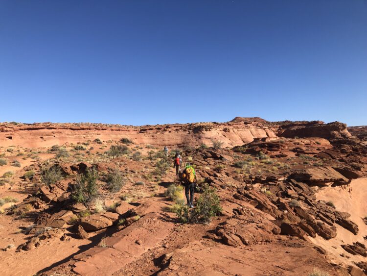 Photo Credit: Bryan Sarg