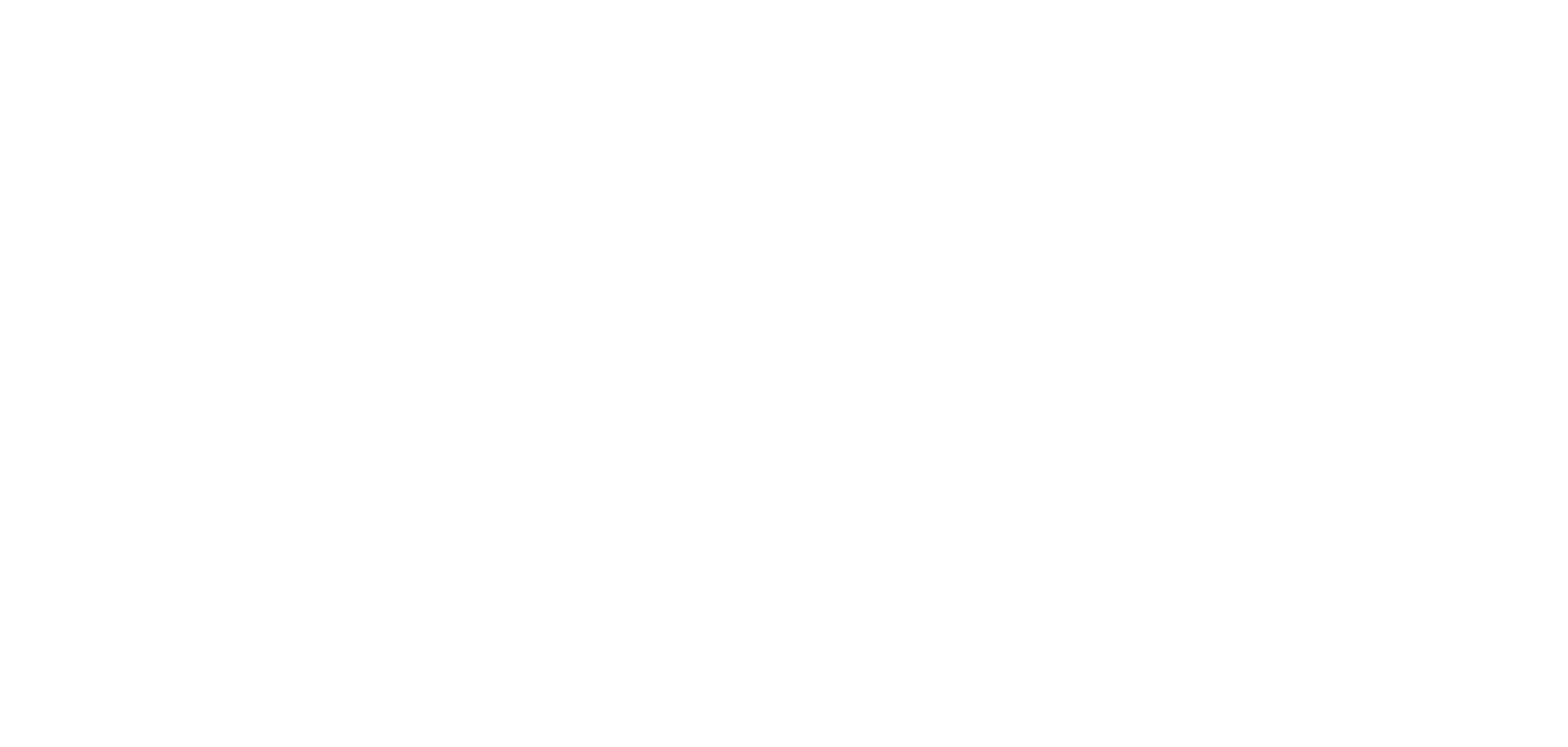 black_diamond_x_nols_logo_white_2025