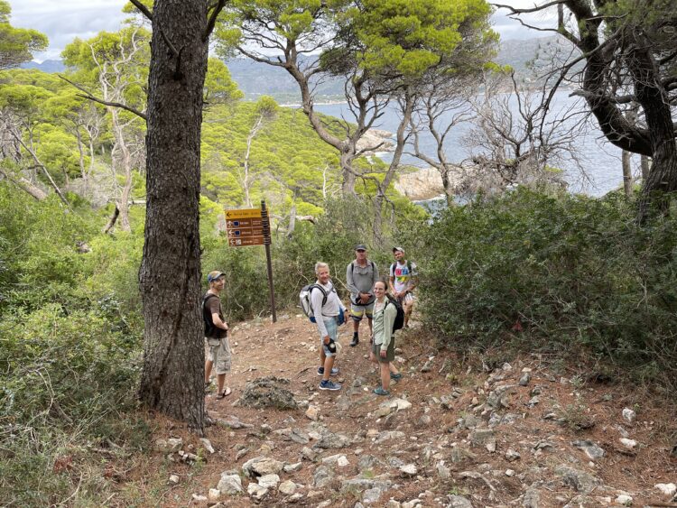 Photo by Kristie McCool