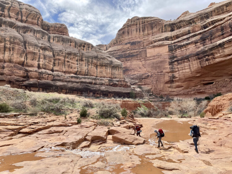 Photo by Carly Gutermuth