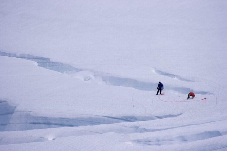 Photo credit: Francisco Perez