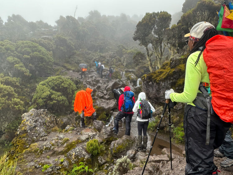 Photo Credit: Gia DeAngelis