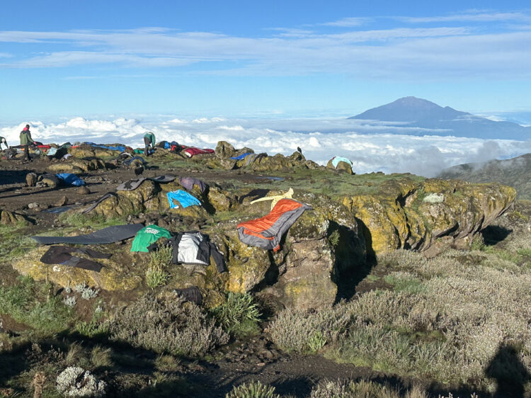 Photo Credit: Gia DeAngelis