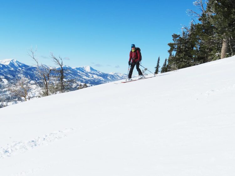 Photo by Kristen Lovelace