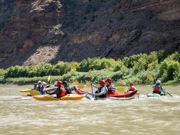 Photo by Lauren Bally