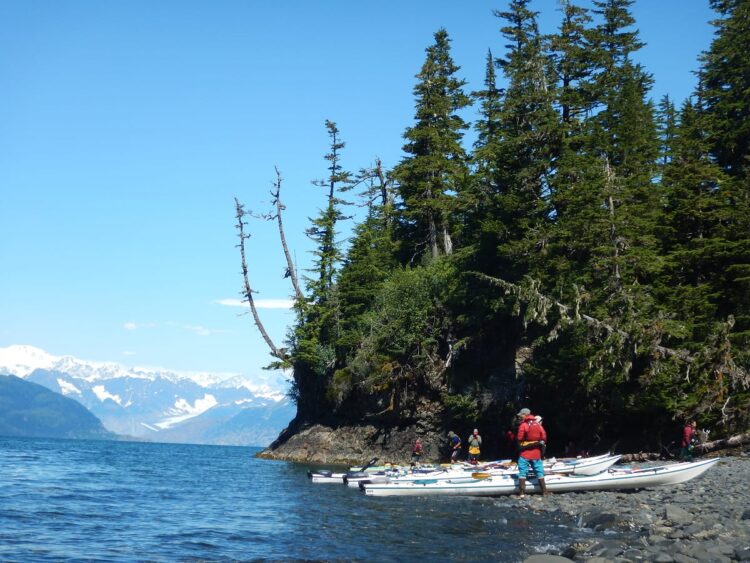 Photo by Liz Schultz