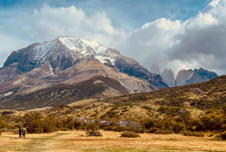 Snow capped mountains in the background. Yellow grass in the foreground. The sky is blue.
