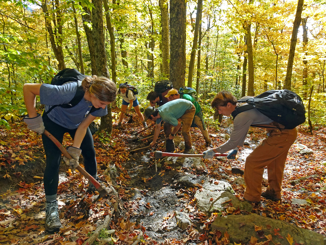 Half a dozen young men and women in a trail crew in a forest using hand tools to create a path.